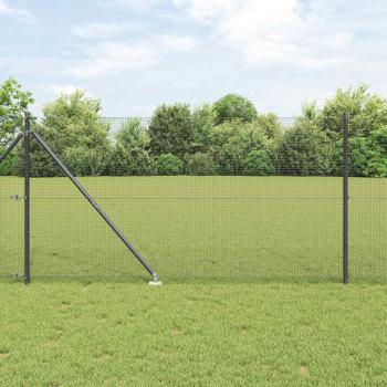 ARDEBO.de - Geschweißter Drahtzaun mit 13 Spitzenpfosten Grau 1.4x50 m Stahl