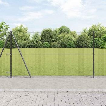 ARDEBO.de - Geschweißter Drahtzaun mit 13 Flanschpfosten Grau 1,2x50 m Stahl