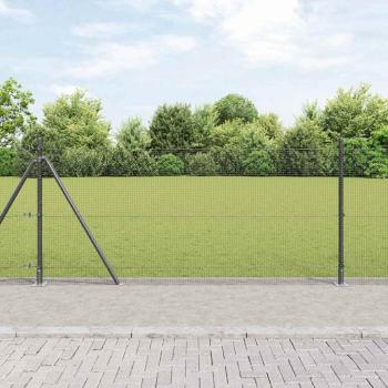 ARDEBO.de - Geschweißter Drahtzaun mit 13 Flanschpfosten Grau 0,8x100 m Stahl