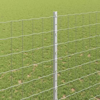 Gartenzaunset Set aus 2 Verzinkter Stahl 10 x 1,5 m Langlebig