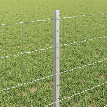 Euro Zaun Set Set aus 2 Verzinkter Stahl 10 x 0.6 m Langlebig