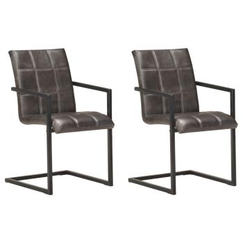 ARDEBO.de - Freischwinger 2 Stk. Grau Echtleder