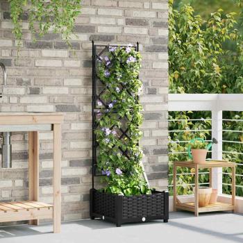Gartenpflanzer mit Spalier Schwarz 40x40x125,5 cm