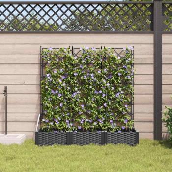 Gartenpflanzer mit Trellis 3 Stück Schwarz 120 x 40 x 125,5 cm