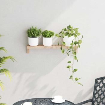 Wandregal 62x10x12,5 cm Massivholz Walnuss