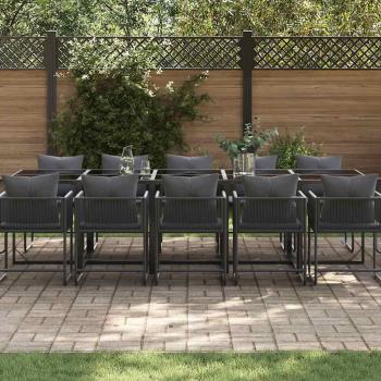 19-teiliges Garten-Dining-Set mit Kissen aus schwarzem Stahl und Poly-Rattan
