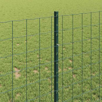 ARDEBO.de - Gartenzaunset Set aus 2 Grün Pulverbeschichteter Stahl 10 x 1 m