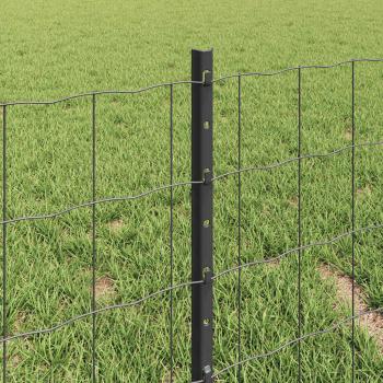 Euro-Zaun mit Pfosten 10 x 0,4 m PVC-beschichteter Stahl Grau