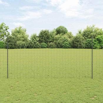 Eurozaun mit 10 U-Pfosten Grau 1.6x10 m Stahl