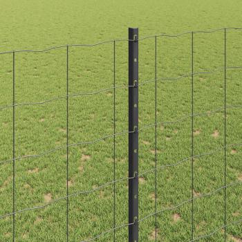 Eurozaun mit 10 U-Pfosten Grau 1.6x10 m Stahl