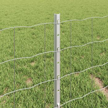 Euro-Zaun mit 11 U-Posten Silber 0.4 x 50 m Stahl