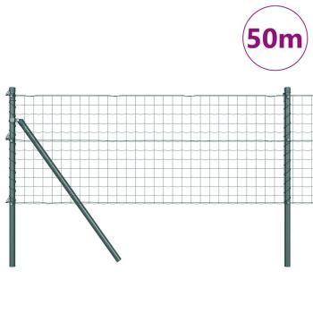 Euro Zaun mit 13 Pfosten 0,6x50 m Verzinkter Stahl Grün
