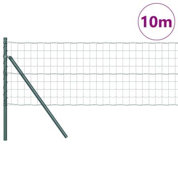 Euro Zaun Set aus 2 Grün Pulverbeschichteter Stahl 10 x 0,8 m