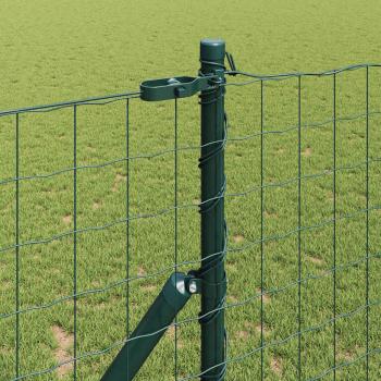 Euro Zaun Set aus 2 Grün Metall 10 x 1 m Langlebig Euro Zaun