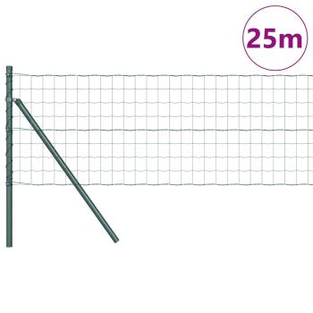 Euro Zaun Set aus 2 Grün Metall 25 x 0,8 m Langlebig
