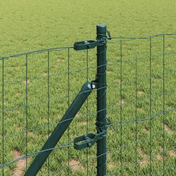 Euro Zaun Set aus 2 Grün Metall 25 x 0,8 m Langlebig