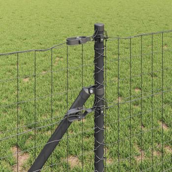 Euro Zaun mit 13 Pfosten 0.4x25 m verzinkter Stahl grau