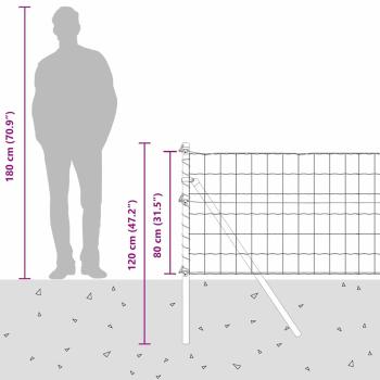 Euro-Zaun mit 13 Pfosten 0.8x25 m Verzinkter Stahl Grau