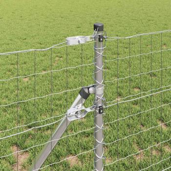 Euro Zaun mit 13 Pfosten 0,4x50 m Verzinkter Stahl