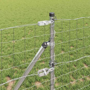 Euro Zaun mit 13 Pfosten 0.4x50 m galvanisierter Stahl