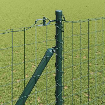 Euro-Zaun mit Stacheln 10 x 1,6 m PVC-beschichteter Stahl Grün