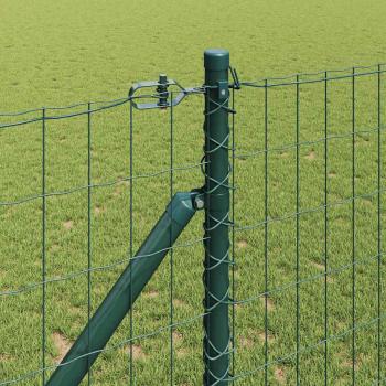 Euro-Zaun mit Spitzen 10 x 1,4 m PVC-beschichteter Stahl Grün