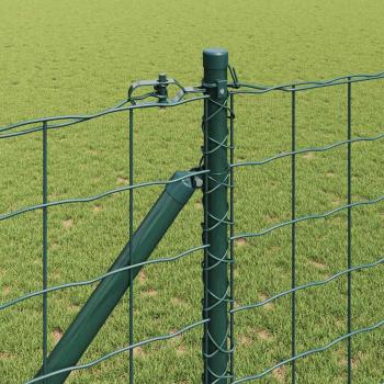 Euro Zaun Set von 2 Grün Metall 25 x 1,0 m Langlebig