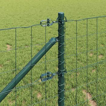 Euro Zaun mit 13 Spike-Pfosten 0.4x50 m Verzinkter Stahl Grün