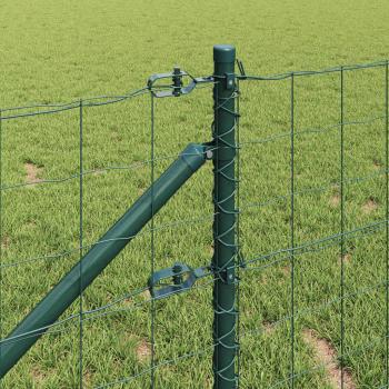 Euro-Zaun mit 13 Spitzenpfosten 0,6x50 m verzinkter Stahl Grün