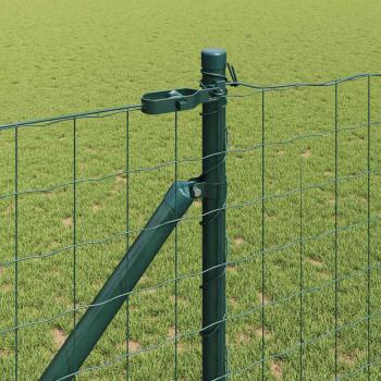 Euro-Zaun mit Spitzen 10 x 1,0 m PVC-beschichteter Stahl Grün