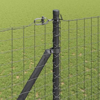 Eurozaun mit 7 Spike-Posts 1,6x10 m verzinkter Stahl grau