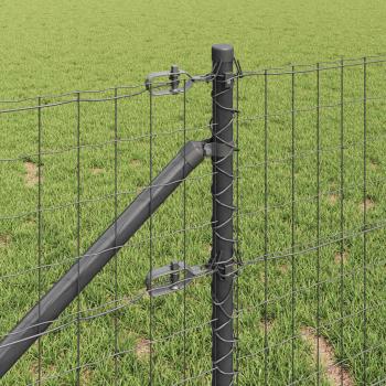 Euro Zaun mit 7 Stachelpfosten 0.4x10 m Galvanisierter Stahl Grau