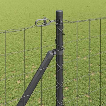 Euro-Zaun mit Stacheln 10 x 1,6 m PVC-beschichteter Stahl Grau