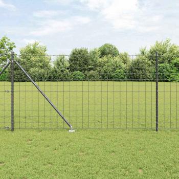 ARDEBO.de - Euro Zaun Set mit 2 Grau Metall 10 x 1 m Langlebig Euro Zaun