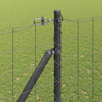 Eurozaun mit 7 Spike-Pfosten 1,6x10 m verzinkter Stahl Grau