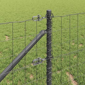Euro Zaun mit 13 Spike-Posts 0.6x50 m verzinkter Stahl Grau