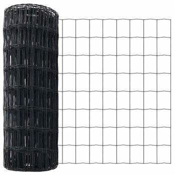 Euro Zaun Grau Set von 2 Grau Metall 25 x 1 m Langlebig