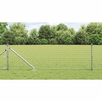 ARDEBO.de - Euro-Zaun mit 7 Spike-Posten 0.8x10 m Verzinkter Stahl