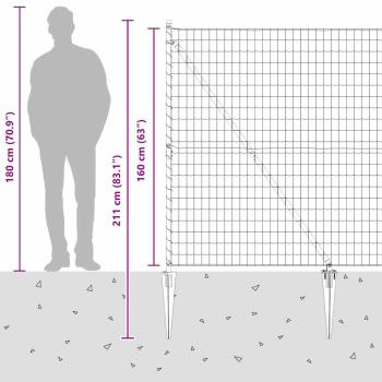 Euro Zaun mit 7 Spike-Pfosten 1,6x10 m Verzinkter Stahl
