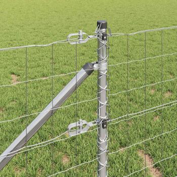 Euro-Zaun mit Stacheln 10 x 1 m Verzinkter Stahl Silber Netz