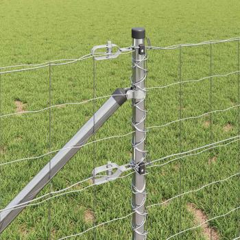 Eurozaun mit 7 Spike-Posts 0.6x10 m Verzinkter Stahl