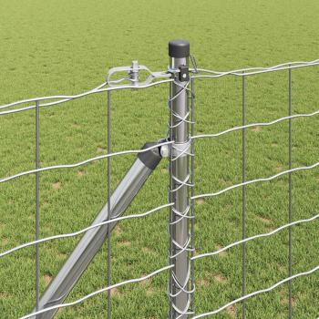Euro Zaun mit 13 Stachelpfosten 1,2x25 m Galvanisierter Stahl