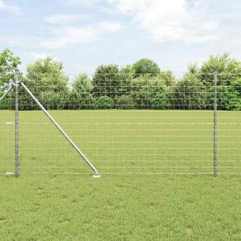 ARDEBO.de - Euro Zaun mit 13 Spike-Posts 1,2x25 m Verzinkter Stahl