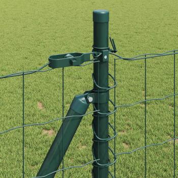 Eurozaun mit Betonfundament 10 x 0,8 m PVC-beschichteter Stahl