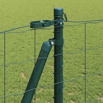 Euro Zaun Set aus 2 Grün Metall 10 x 1,2 m Langlebig