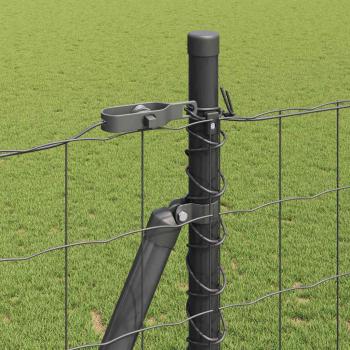Euro-Zaun mit Betonsockel 10 x 1,6 m PVC-beschichteter Stahl