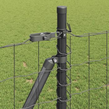 Euro Zaun mit 13 Flanschen 0,8x25 m verzinkter Stahl