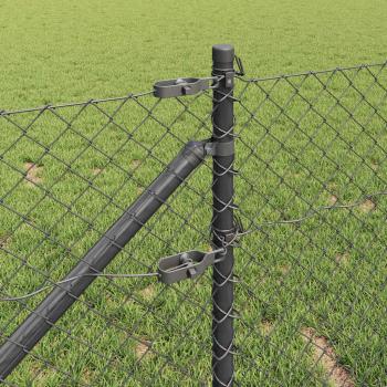 Stahlzaun mit Spitzen 10 x 0,6 m PVC-beschichteter Stahl Grau