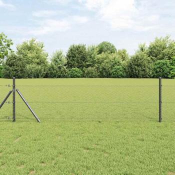 ARDEBO.de - Zaun-Set Set aus 2 Grau Verzinkter Stahl 25 x 0,5 m Erweiterbar