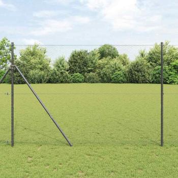 ARDEBO.de - Zaunset Set aus 2 Grau Stahl 25 x 1,5 m Langlebig